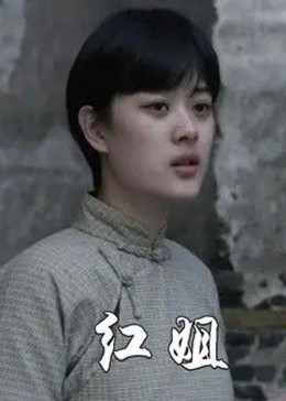 红姐2017(全集)