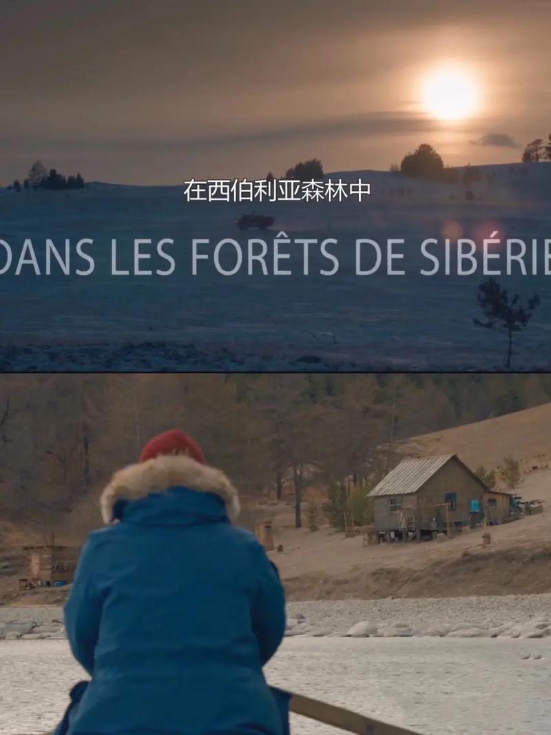 西伯利亚之森【影视解说】HD