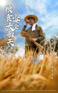 粮食安全大如天全集(大结局)