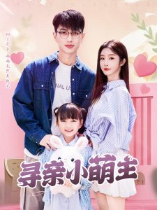 寻亲小萌主全集(大结局)